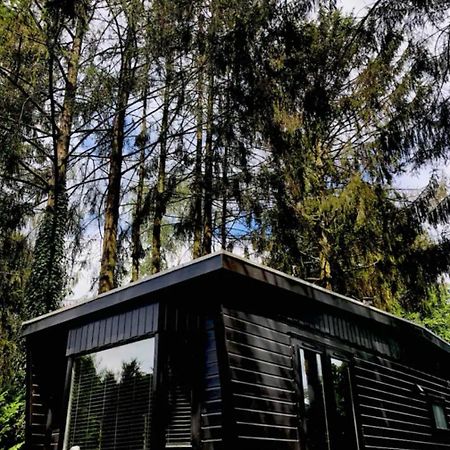 Heerlijk Chalet Midden In De Natuur พุทเทิน ภายนอก รูปภาพ